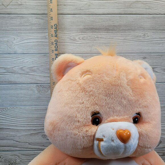 Care Bears Friendship Bear Plush Smiling Flowers Stuffed Animal Vtg 2002 26 in - Picture 8 of 10